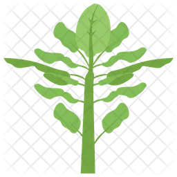 Plant  Icon