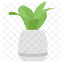 Pot Plant Vase Flower Pot Icon