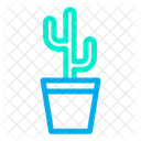 Cacti Cactus Cactus Plant Icon