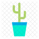 Cacti Cactus Cactus Plant Icon