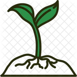 Plant  Icon