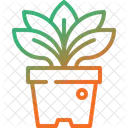 Plant Potted Pot Icon