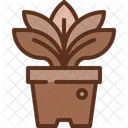 Plant Potted Pot Icon