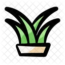 Plant Pot Interior Icon