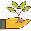 Plant  Icon