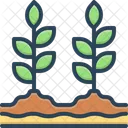 Plant Leaf Crops Icon