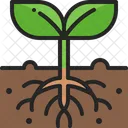 Plant Sprout Section Icon