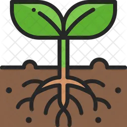 Plant  Icon