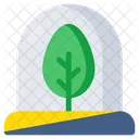 Tree Plant Nature Icon