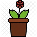 Plant Agronomy Growth Icon