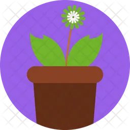 Plant  Icon