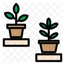 Plant  Icon