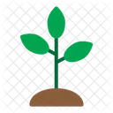 식물  아이콘