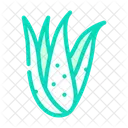 Plant Aloe Vera Icon