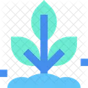 Plant Planting Grow Icon