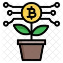 Plant Growth Bitcoin Icon