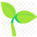 Plant Tree Ecology Icon