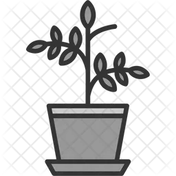 Plant  Icon