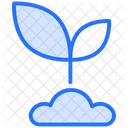 Plant Nature Leaf Icon