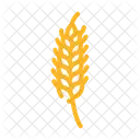 Plant Ripe Yellow Icon