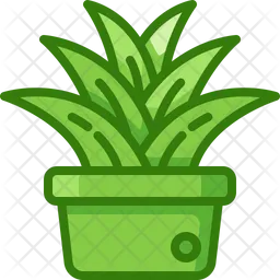 Plant  Icon