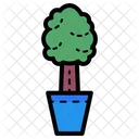 Plant  Icon