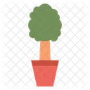 Plant  Icon