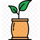 Plant Grow Growing Icon