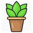 Plant Botany Ecology Icon