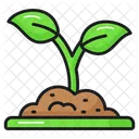 Plant Sprout Farming Icon