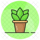 Plant Botany Ecology Icône