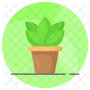 Plant Botany Ecology Icon