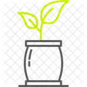 Plant Grow Growing Icon
