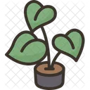 Plant Pot Dcor Icon