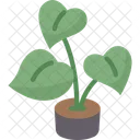 Plant Pot Dcor Icon
