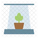 Plant Farming Ecology Icon