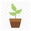 Plant Pot Green Icon