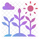 Plant Nature Flower Icon