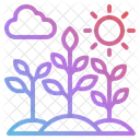 Plant Nature Flower Icon