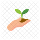 Plant Icon