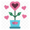 Plant Heart Flower Icon