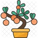 Plant Fruit Nourishing Icon