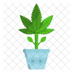 Plant  Icon