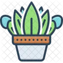 Plant Potted Herb Icon