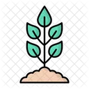 Plant Leaf Ecology Icon