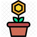 Plant Crypto Currency Investment Icon