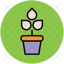 Plant Pot Growing Icon