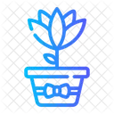 Plant Nature Flower Icon