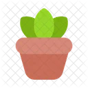 Plant Pot Flower Pot Icon