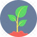 Plant Environment Nature Icon